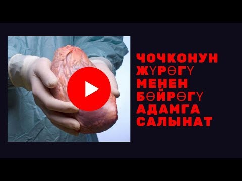 Video: Жаңы чочконун 2019-жылын кандай майрамдоо керек