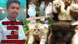 KOLKATA NEW PET SHOP ARENA🐕PERSIAN CAT CUTE PUPPY & ALL BIRDS🐕DOG PRICE