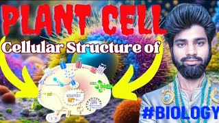 पादप कोशिका,पादप कोशिका की संरचना plant cell,plant cell model @ajodh_classes_upsc