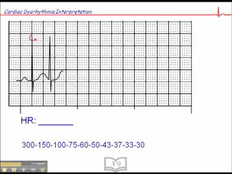 Heart Rate Calculation Exercises Youtube