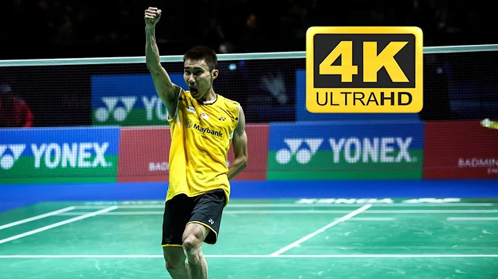 [4K50FPS] - MS - Lee Chong Wei vs Chen Long - 2014 All England Open Final - Highlights