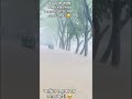 সকল গাছে দোয়া চাই অনুরোধ রইলো প্লিজ দোয়া করবেন যেন আর সফলতা পেতে পারি! @🥹🤲👈