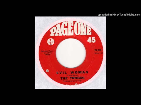 Troggs - Evil Woman