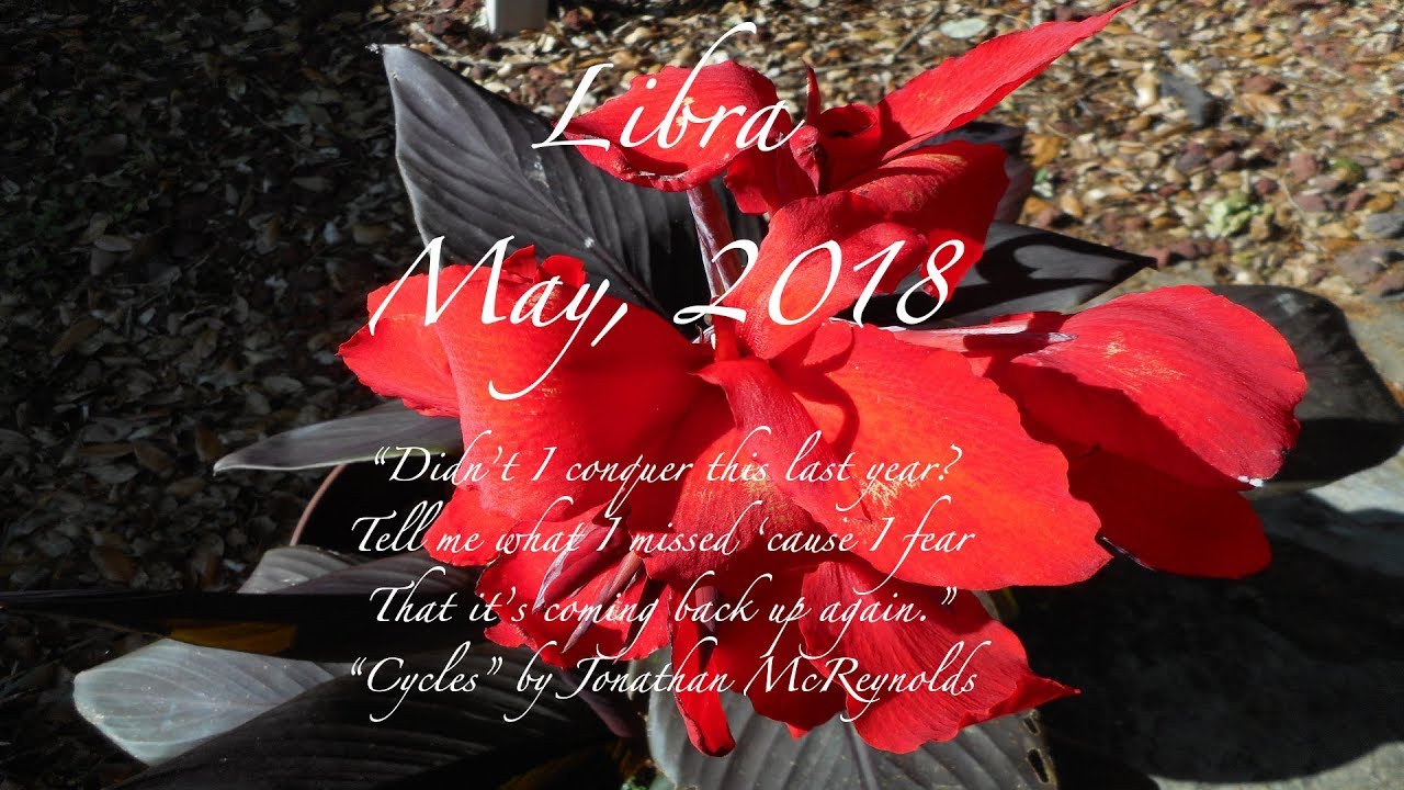 LIBRA May 2018 Tarot Horoscope IS SOMETHING BLOCKING YOU FROM FOLLOWING YOUR HEART?