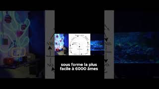 La Science des Coraux Pourquoi ils Adorent