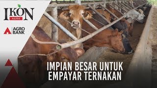 Ikon Agro: Impian besar untuk empayar ternakan