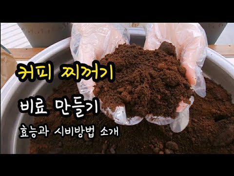 커피찌꺼기의 놀라운 효능과 시비 방법 소개 ㅣ커피 찌꺼기로 퇴비 만들기 ㅣComposting with coffee grounds