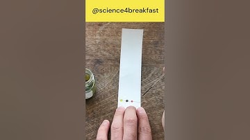 Paper Chromatography  #gcsescience #scienceteacher #chemistry #experiment #education