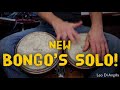 Bongos solo on a funky digital groove