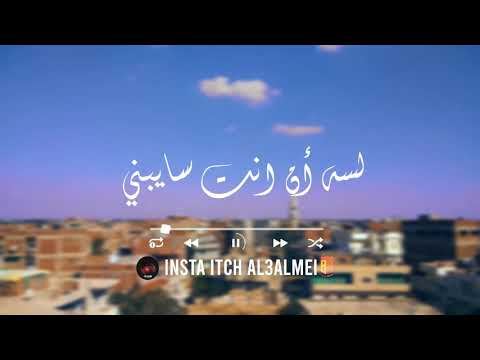 ناقصني امان نورهان المرشدي انا مش قادره أصدق لسه ان انتا سايبني