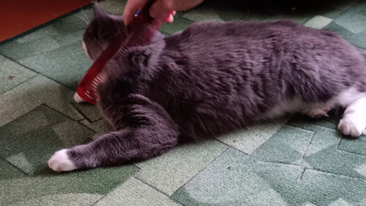 БЮРО ДОБРЫХ УСЛУГ - YouTube