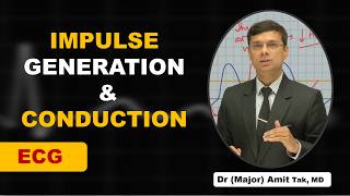 Celebrity ECG Module 5: Impulse Generation and Conduction in the Heart | Amit Tak, MD Profile