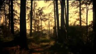 Campfire ( grizzly bear) remix por Efterklang