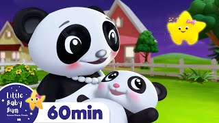 Twinkles ABC (Mindfulness) | +more Kids Songs |  LittleBabyBum - New Baby Songs & Nursery Rhymes