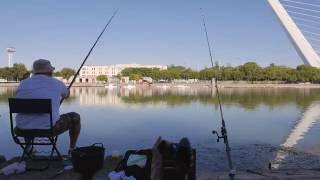 Gente pescando en Sevilla