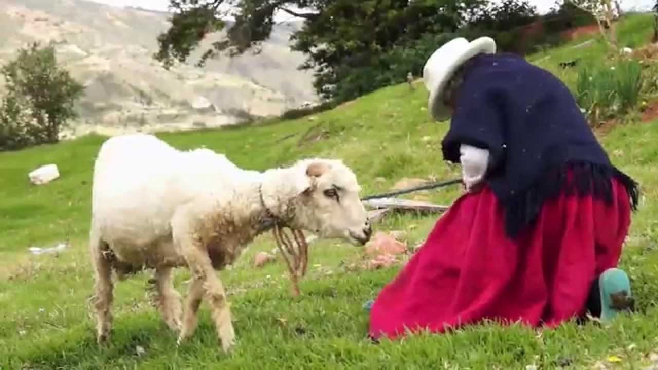 Esto es Azuay DocsDF