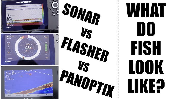 Why CHIRP is the Best 2D Sonar for Ice Fishing 