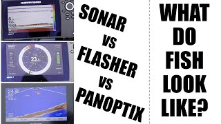 What do Fish Look Like on Sonar vs Flasher vs Panoptix [Ice Fishing] 