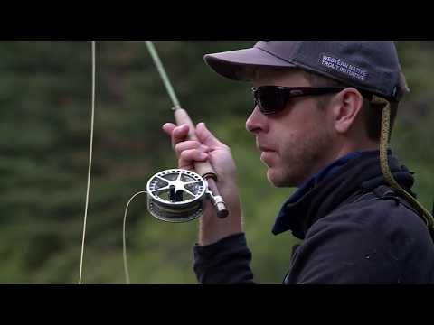 Ascent Fly Fishing - Bringing Success to the Modern Day Fly Fisher 