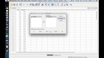 SPSS 2-3 Summarizing Quantitative Variables