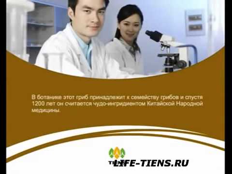 კორდიცეფსი (ტიენსი)