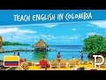 Teaching English in Colombia: TEFL Teacher Interviews 🌴🌏✈️