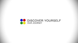 Insights Discovery Profile Overview