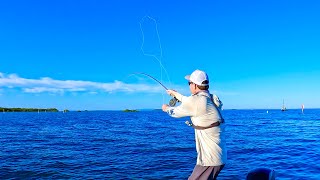 Moreton Bay reef fish were ON FIRE