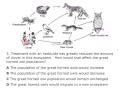 Ecosystem Dynamics Quiz