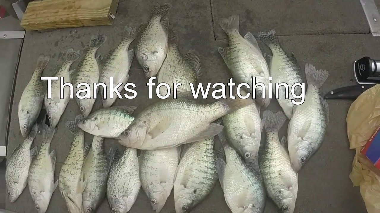East Fork Lake Crappie Fishing YouTube