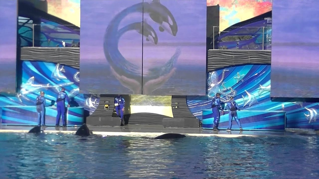 Nakai Post One Ocean 1 of 3 - Nov 19 2014 - SeaWorld San Diego - YouTube