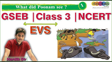 Class 3 | EVS | 1. What Did Poonam See? | Explanation with answer | Hardik Sir | iEduClass
