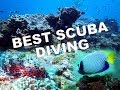 World’s Best Scuba Diving - South Africa, Sodwana bay