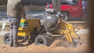 EXTREMELY Satisfying ASMR stump removal on front lawn... featuring The Claw