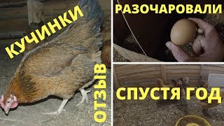 Кучинская юбилейная. Год содержания // Подводим итоги