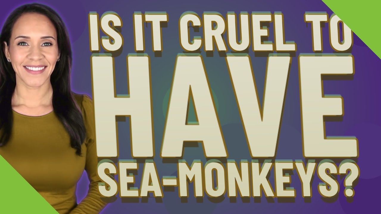 Is It Cruel To Have Sea Monkeys