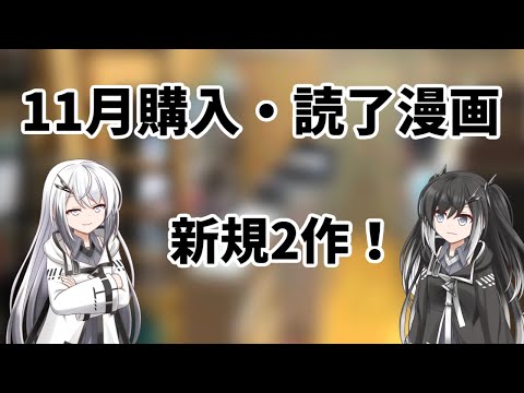 累計３０００冊以上⁉漫画好きの11月購入・読了漫画【漫画紹介】