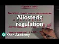 Allosteric regulation and feedback loops | Biomolecules | MCAT | Khan Academy
