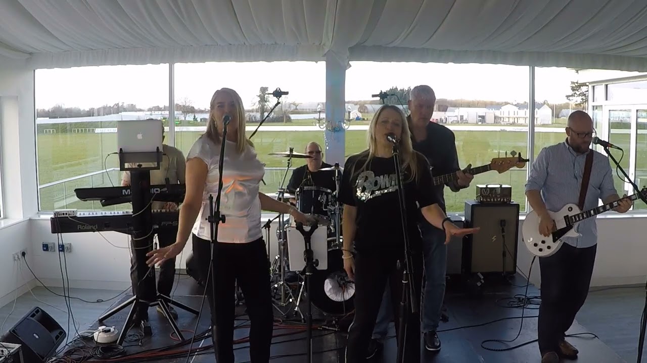 Nutbush City Limits – Tina Turner Cover | Live by Dr Cornelius