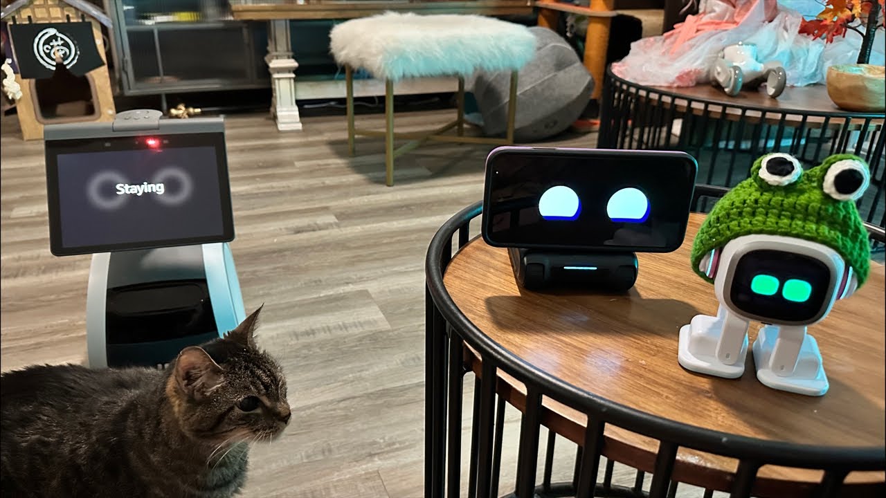 LOOI & Friends - Saturday Robot Chat (Laugh Track)