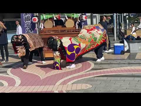 Part 2 : Traditional Lion Dance in Takamatsu @eriakemivlog