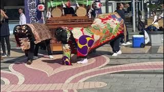 Part 2 : Traditional Lion Dance in Takamatsu @eriakemivlog