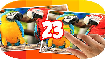 Tap 5 Differences Level 23 Walkthrough