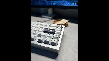 qk65 / all foams / FR4 / gateron oil kings / owlstabs