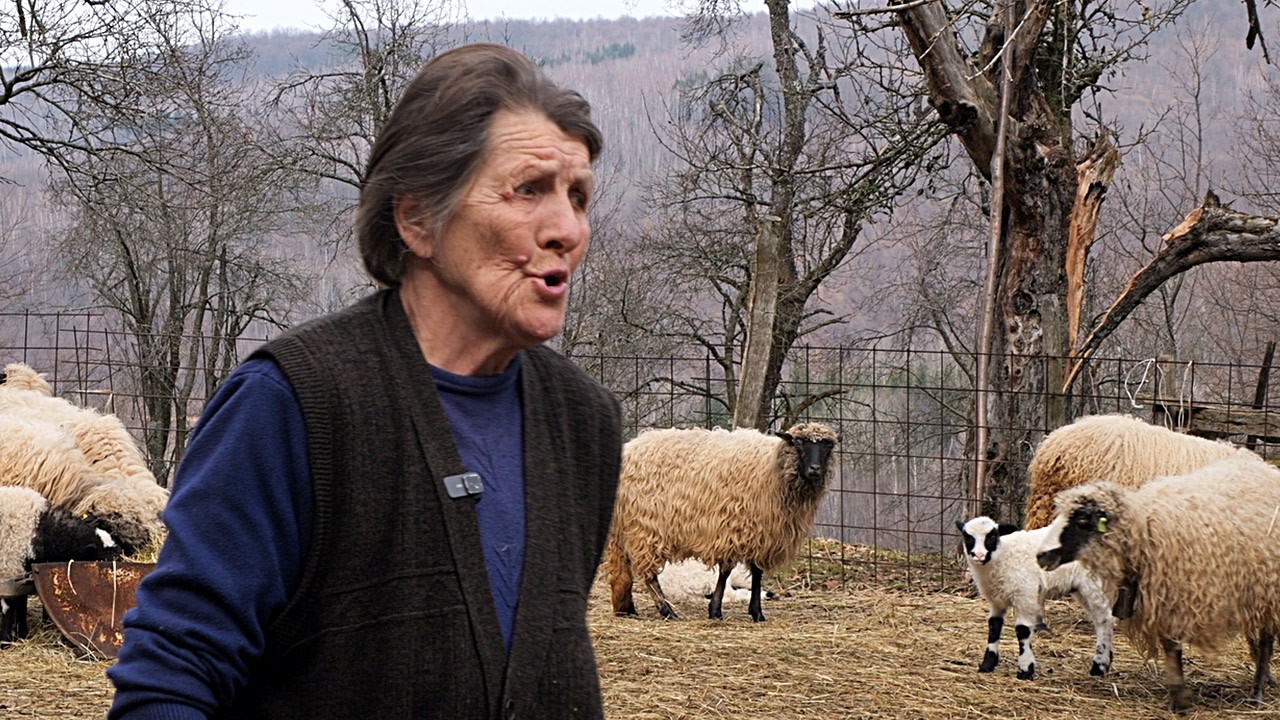 Život na rubu civilizacije - stari snijeg, nova janjad, drijen iz hladnjaka