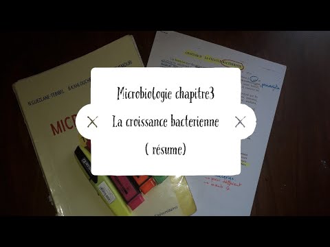 Vidéo: Différence Entre Les Plasmides Ti Et Ri