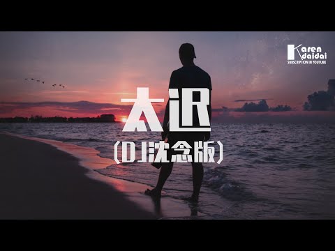 王茗 - 太迟 (DJ沈念版) ♪ KarenDaidai