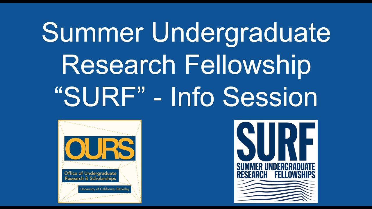 summer undergraduate research fund (surf) program