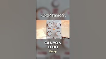EHX Pico Canyon Echo Digital Delay Pedal Demo