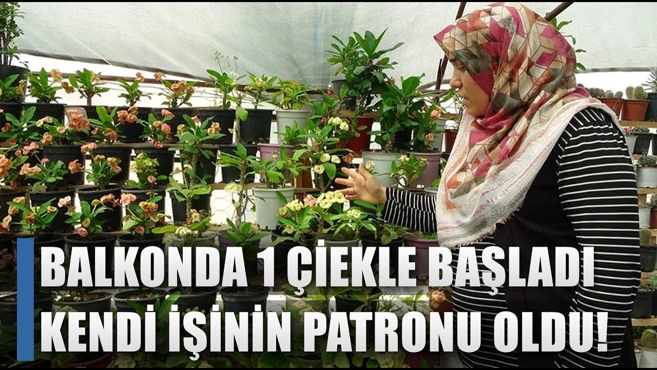 Balkonunda 1 Çiçekle Başladı Patron Oldu! Serasını Kurdu Çiçek Üretiyor / AGRO TV HABER